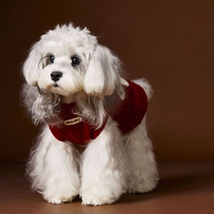 New autumn/winter sleeveless warm sweater vest for pet dogs