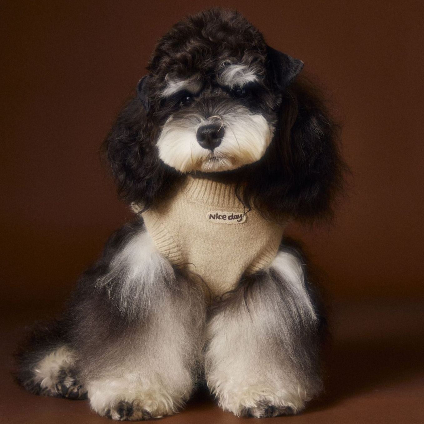 New autumn/winter sleeveless warm sweater vest for pet dogs