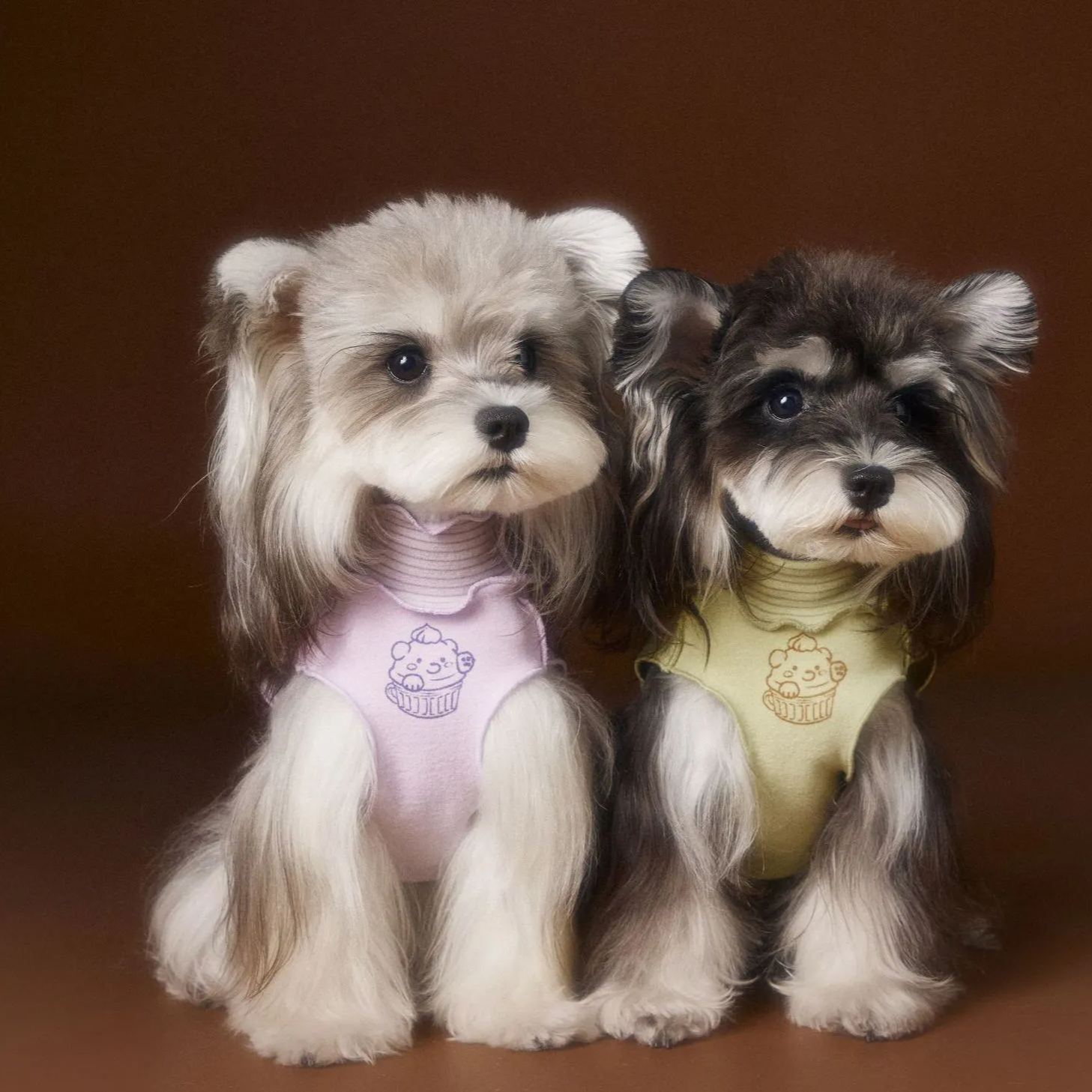 New striped lace dog sleeveless vest