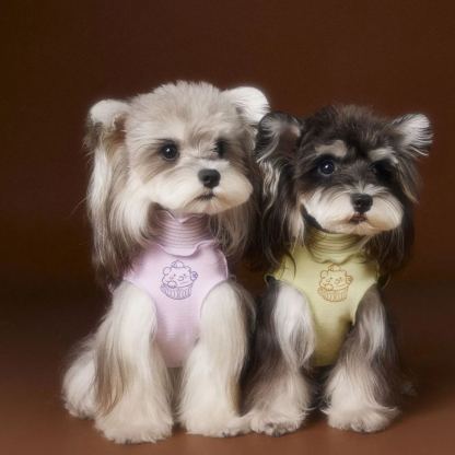 New striped lace dog sleeveless vest