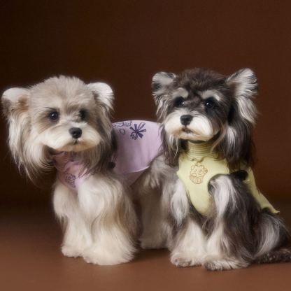 New striped lace dog sleeveless vest