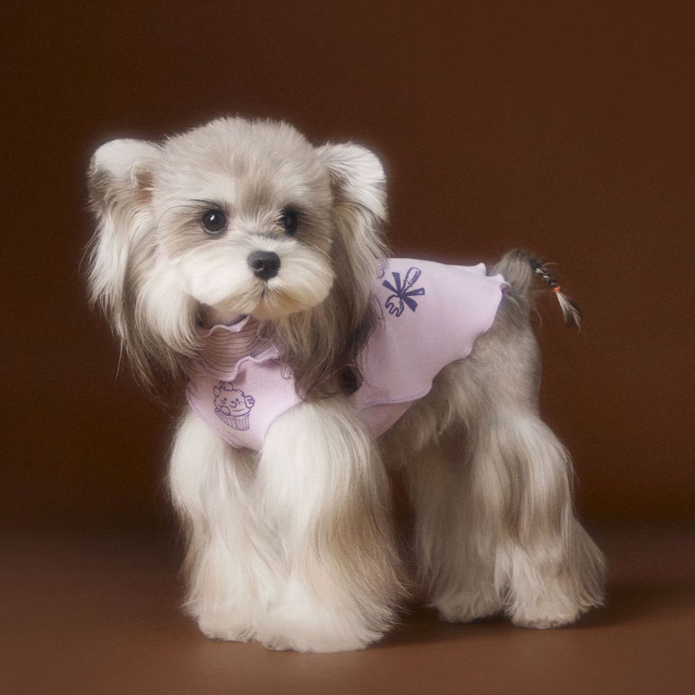 New striped lace dog sleeveless vest