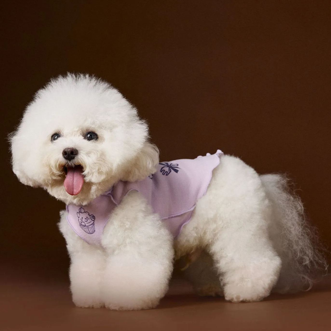 New striped lace dog sleeveless vest