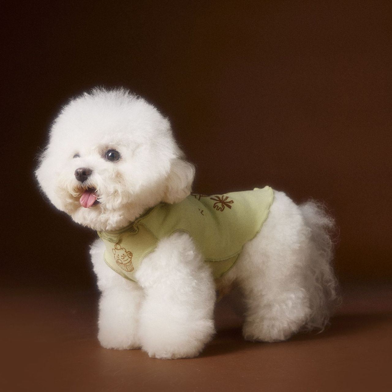 New striped lace dog sleeveless vest