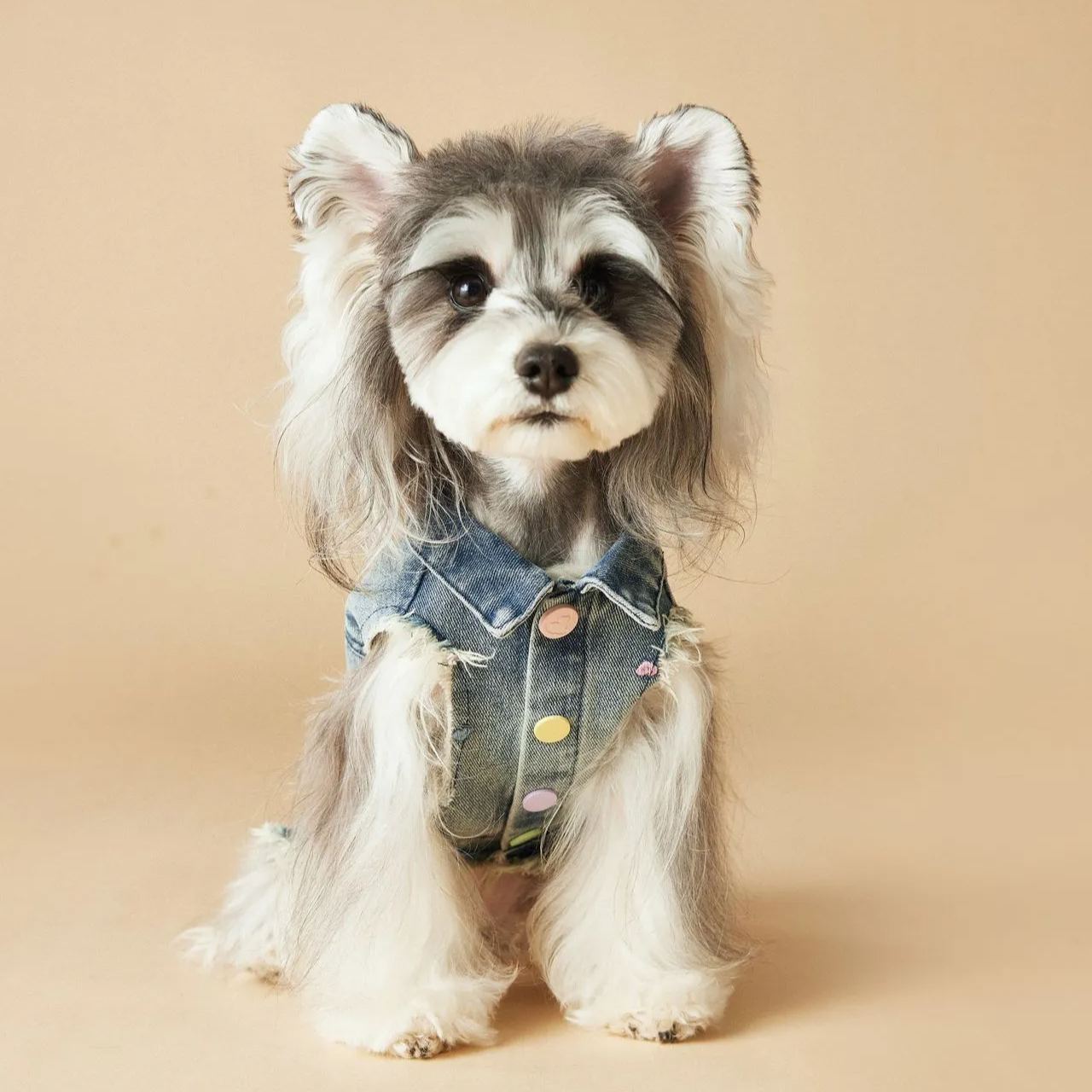 Spring/Summer Cowboy Dog Outfit Sleeveless Vest