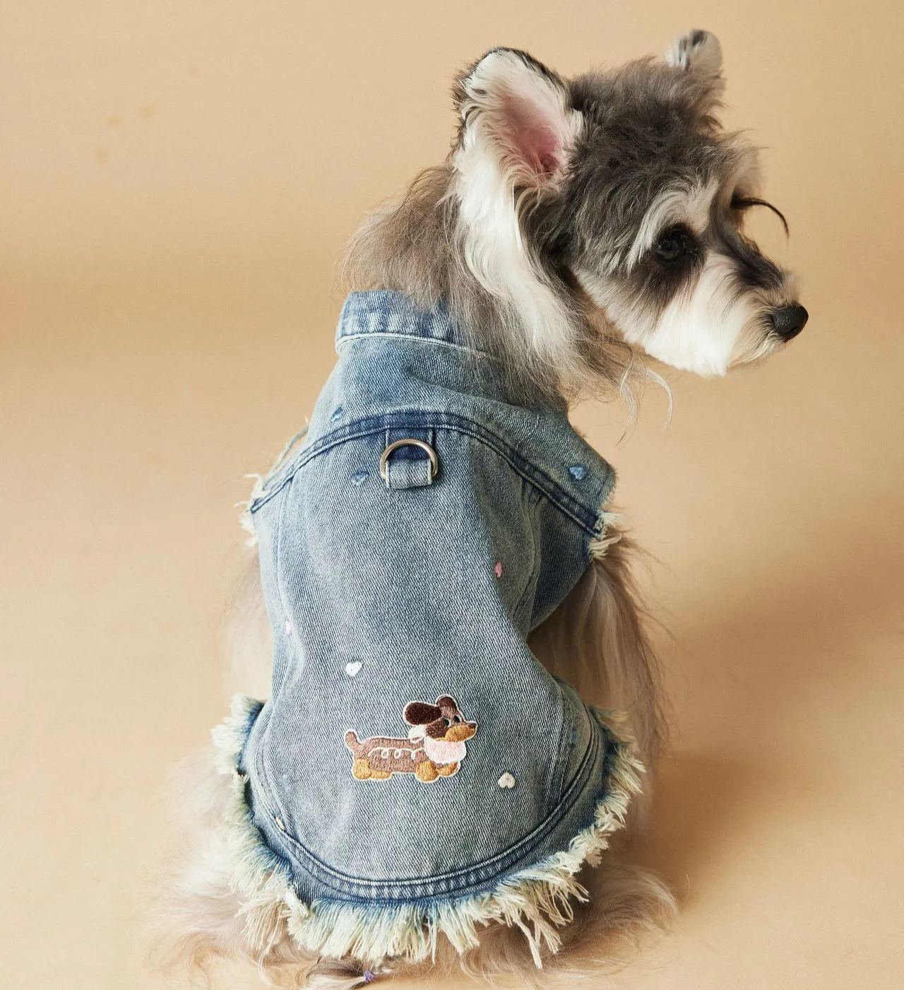 Spring/Summer Cowboy Dog Outfit Sleeveless Vest