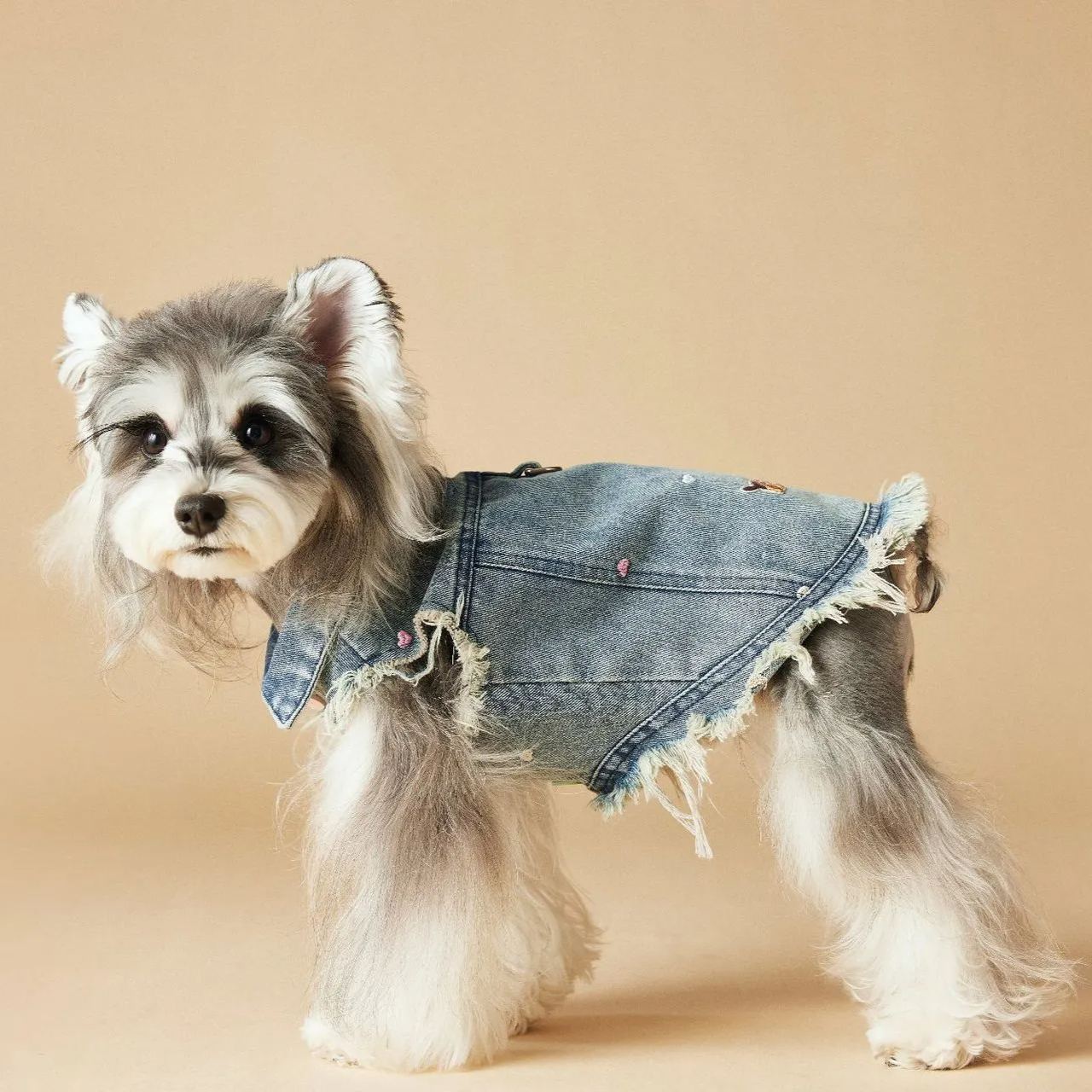 Spring/Summer Cowboy Dog Outfit Sleeveless Vest