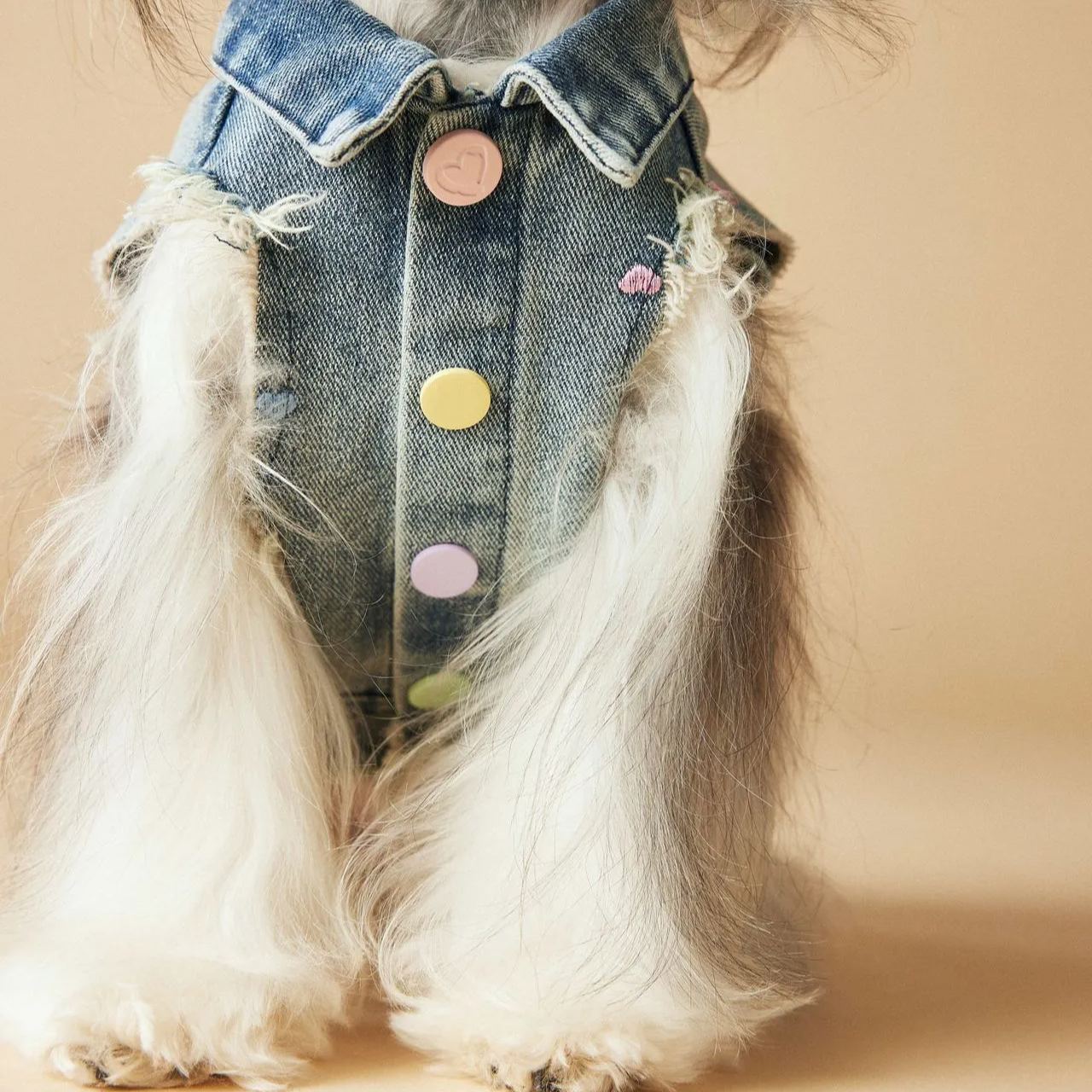Spring/Summer Cowboy Dog Outfit Sleeveless Vest