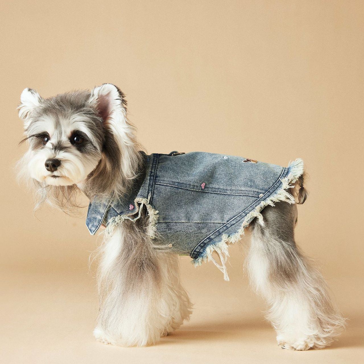 Spring/Summer Cowboy Dog Outfit Sleeveless Vest