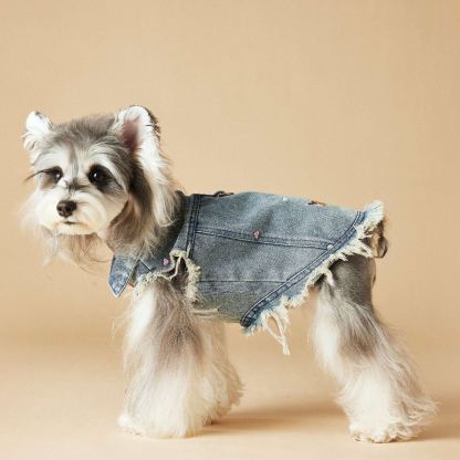 Spring/Summer Cowboy Dog Outfit Sleeveless Vest
