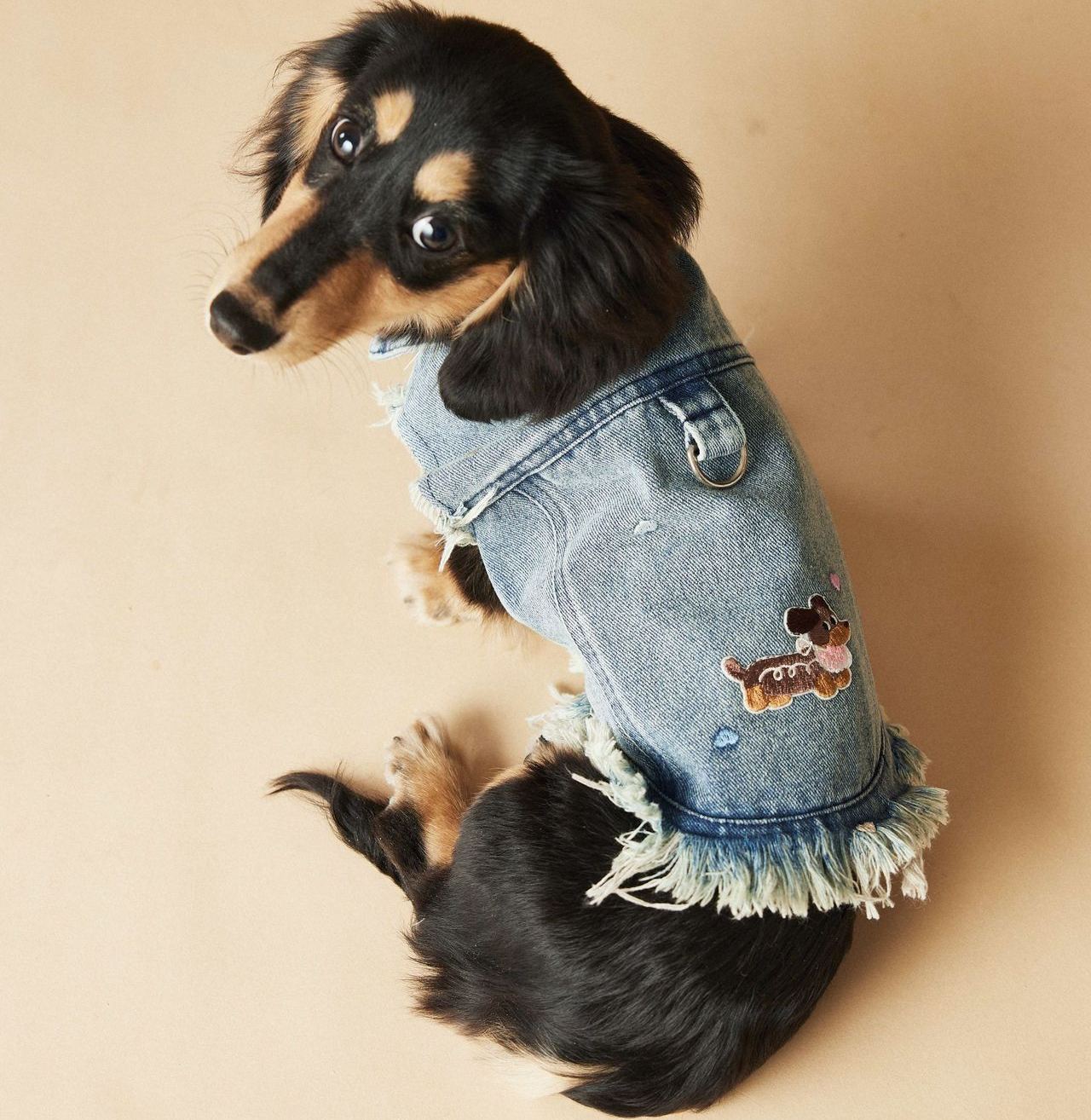 Spring/Summer Cowboy Dog Outfit Sleeveless Vest