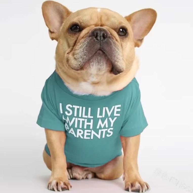 Foshion designer French Bulldog pet clothes and t-shirts