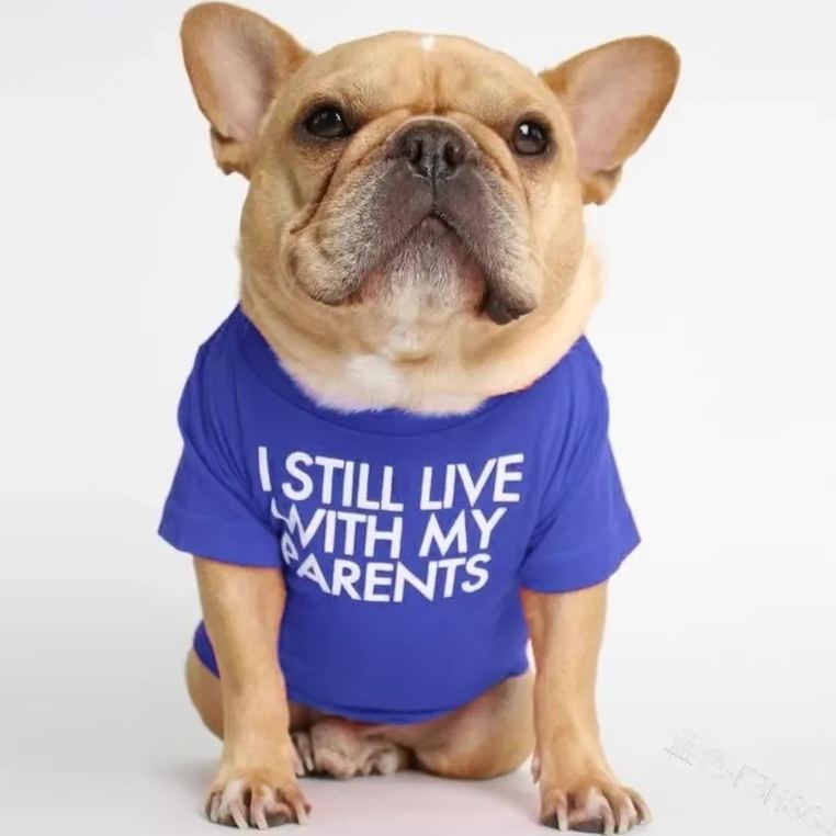Foshion designer French Bulldog pet clothes and t-shirts