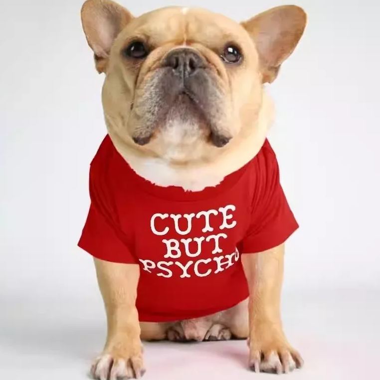Foshion designer French Bulldog pet clothes and t-shirts