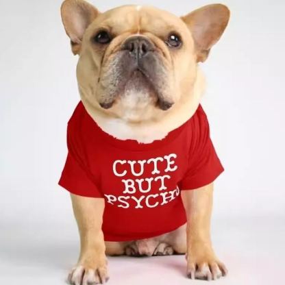 Foshion designer French Bulldog pet clothes and t-shirts
