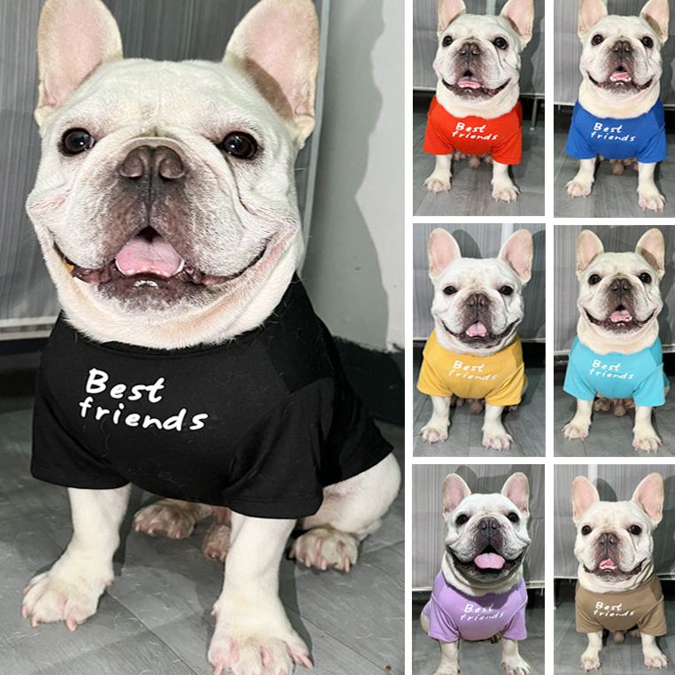 Foshion designer French Bulldog pet clothes and t-shirts