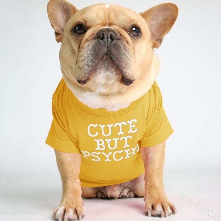 Foshion designer French Bulldog pet clothes and t-shirts