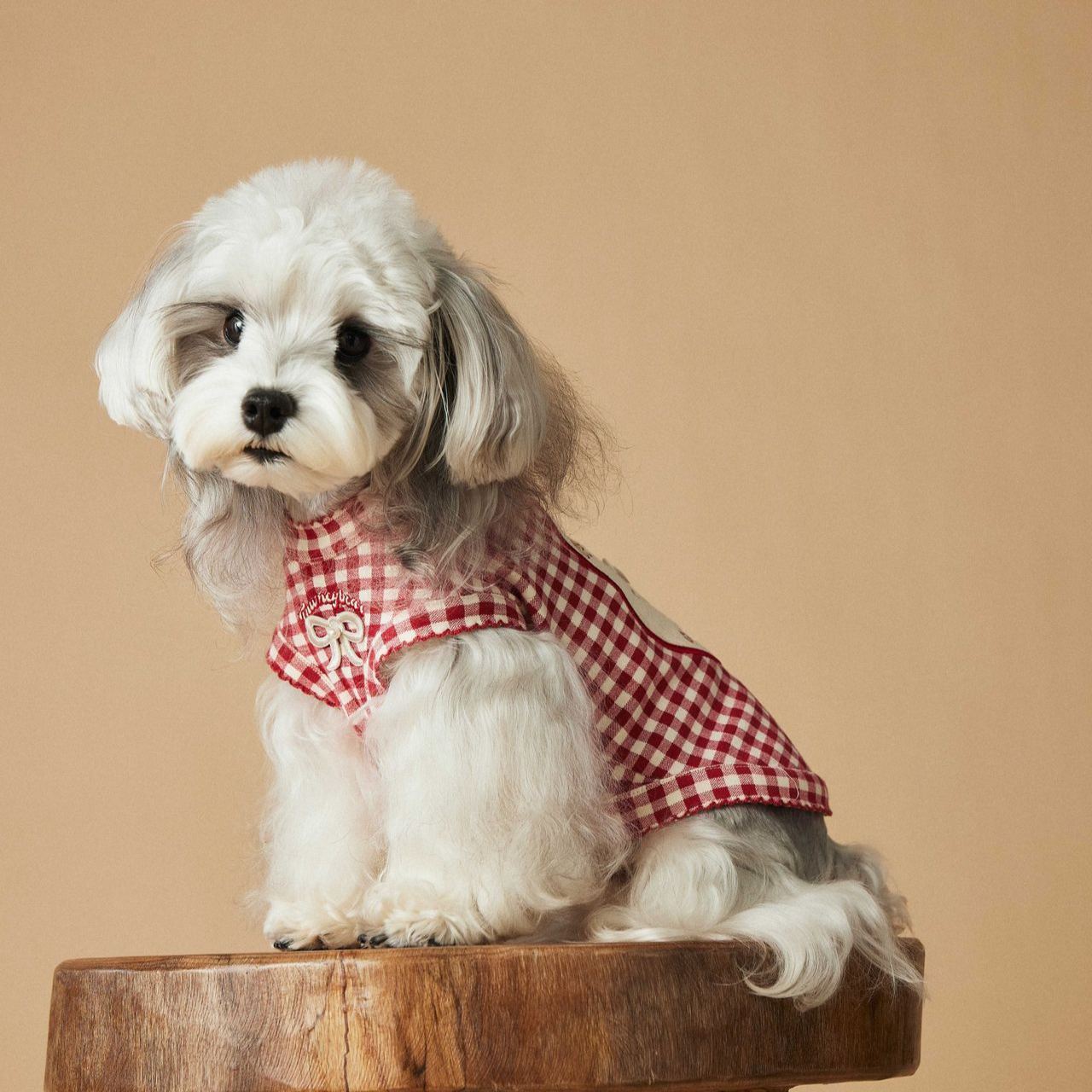 Exquisite sleeveless puppy vest for spring and summer