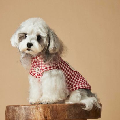 Exquisite sleeveless puppy vest for spring and summer