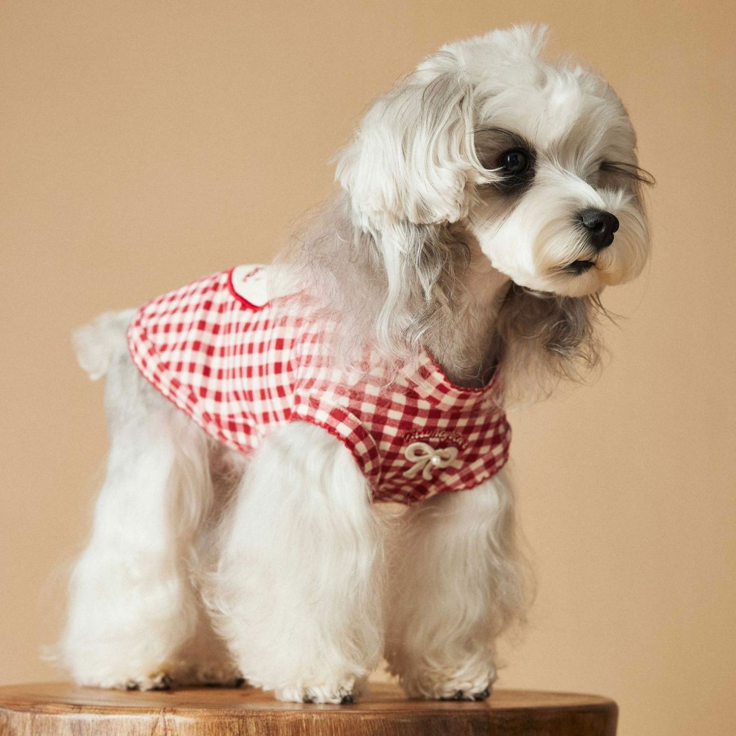 Exquisite sleeveless puppy vest for spring and summer