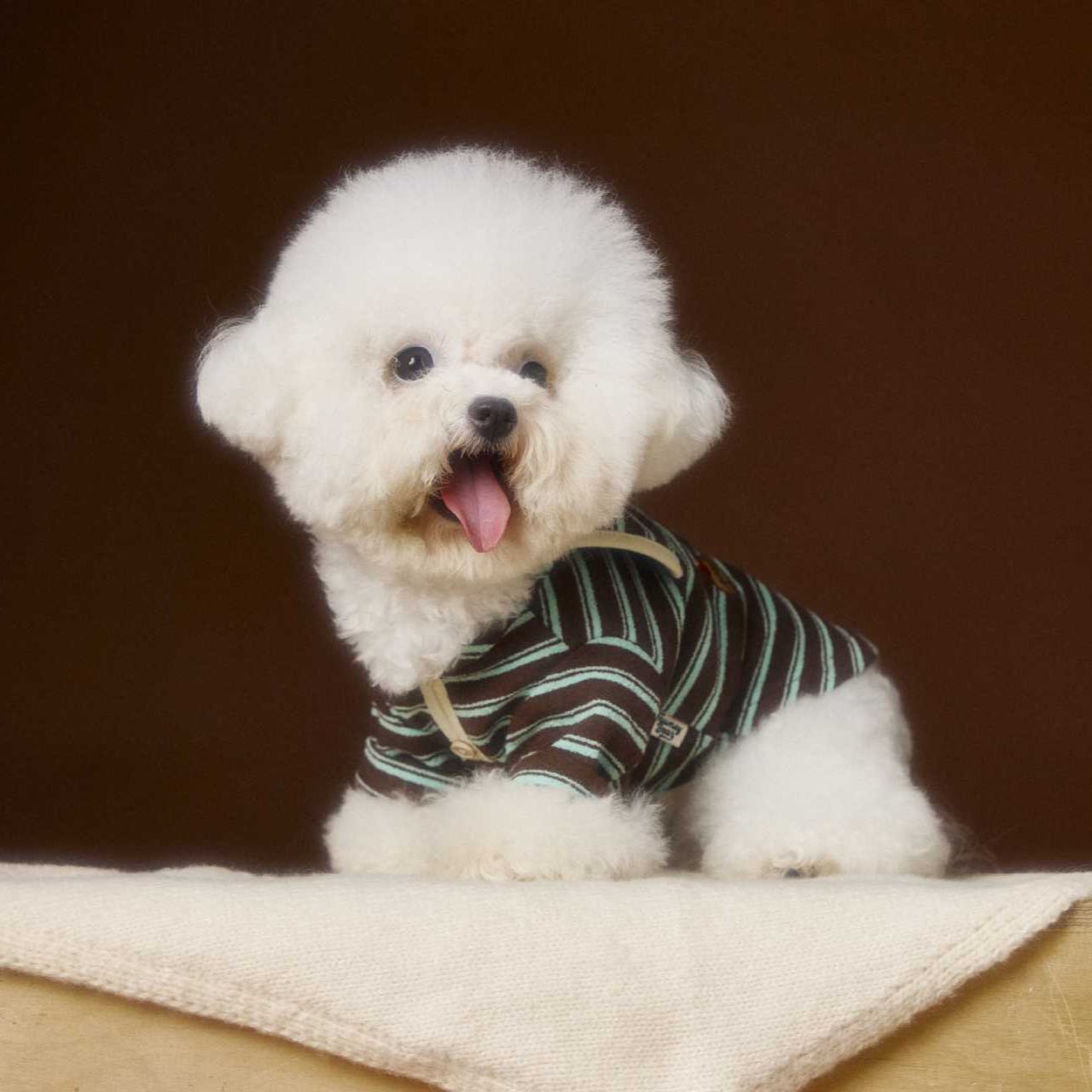 Autumn striped dog clothes sweatshirt