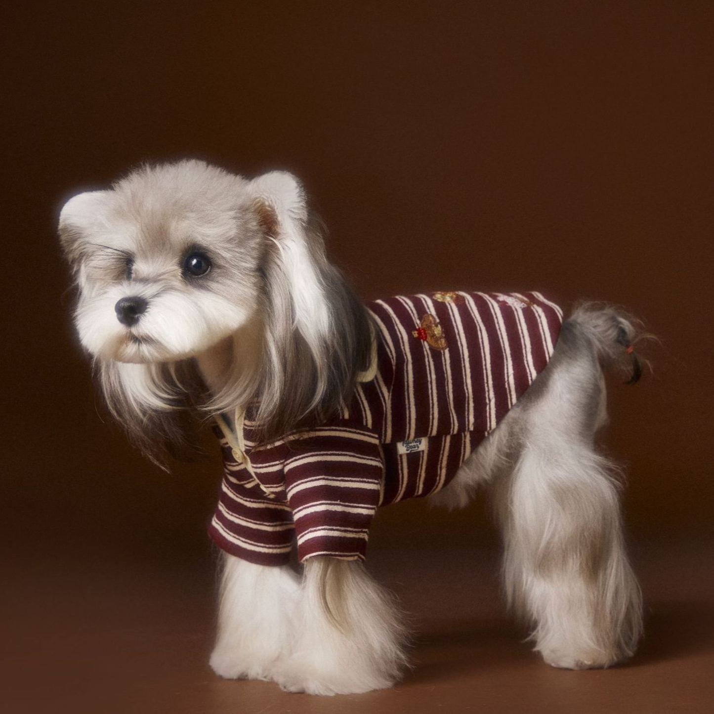 Autumn striped dog clothes sweatshirt