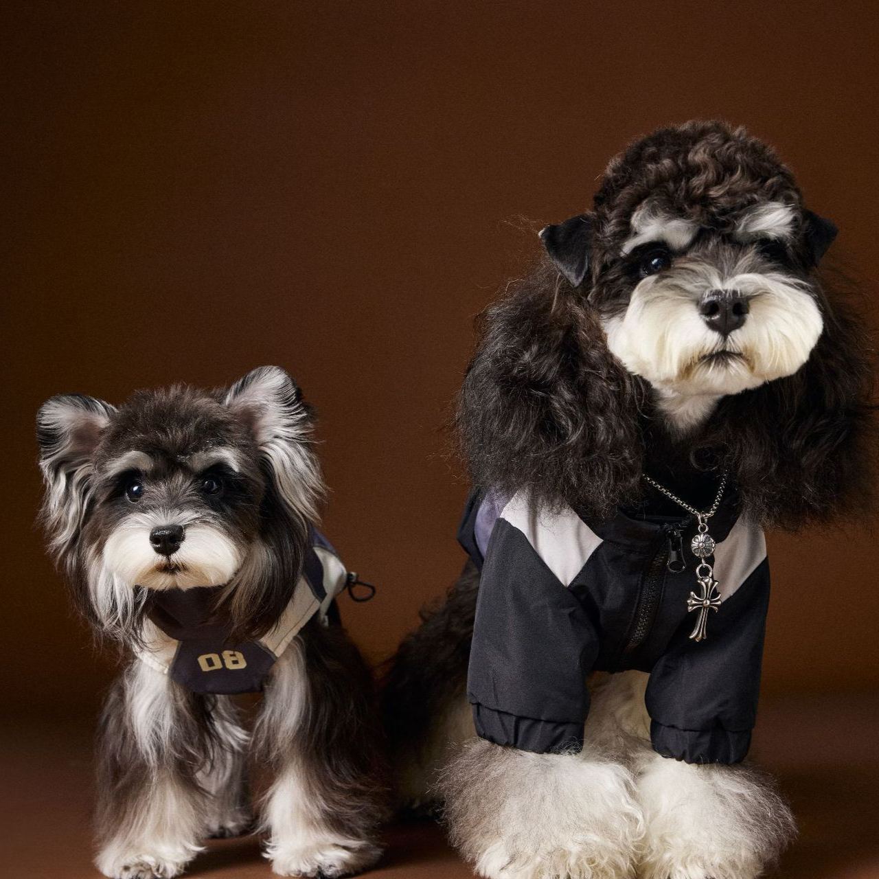 Thin sleeveless dog vest sportswear