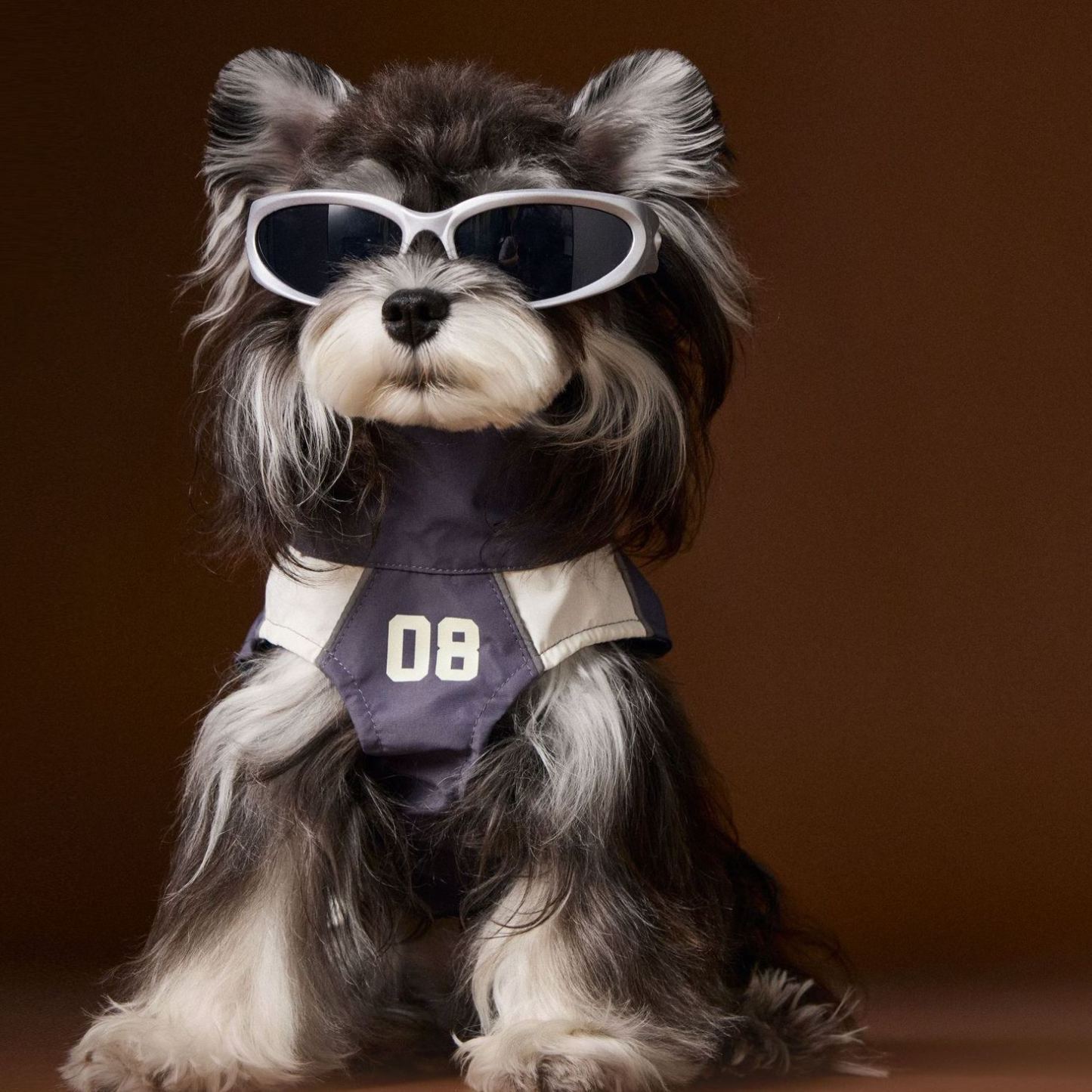 Thin sleeveless dog vest sportswear