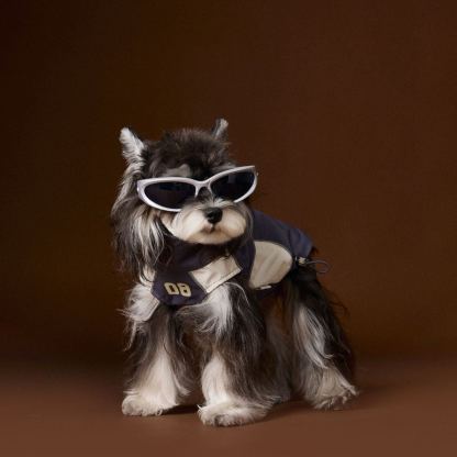 Thin sleeveless dog vest sportswear