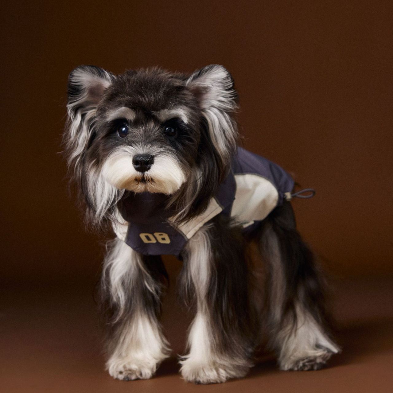 Thin sleeveless dog vest sportswear