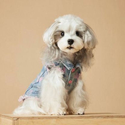 Pink Heart Distressed Denim Pet Vest 