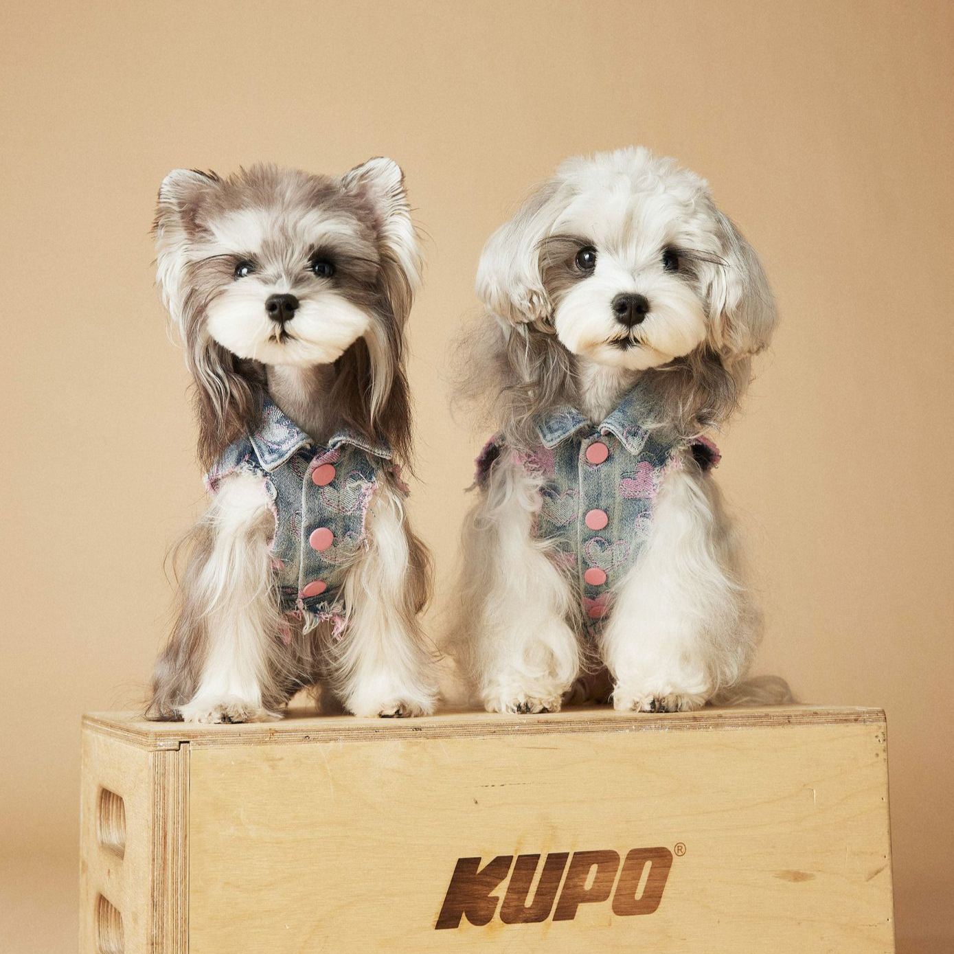 Pink Heart Distressed Denim Pet Vest 