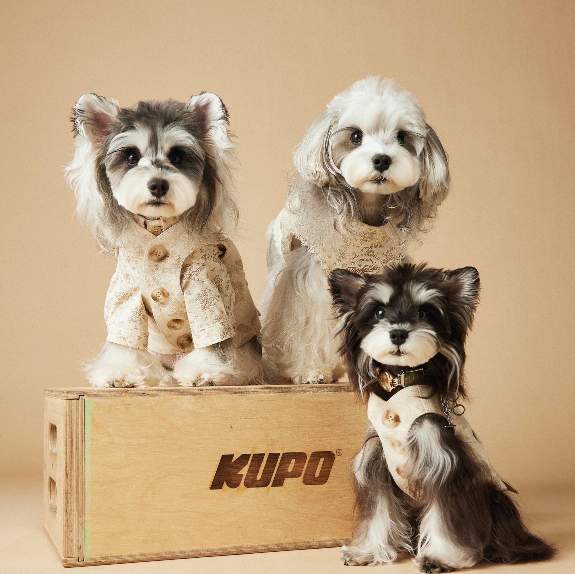 Spring/Summer Dog-print Sleeveless Dress