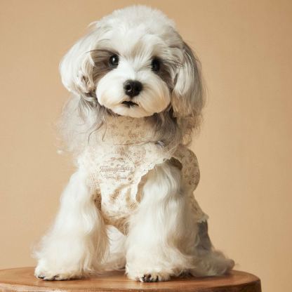 Spring/Summer Dog-print Sleeveless Dress