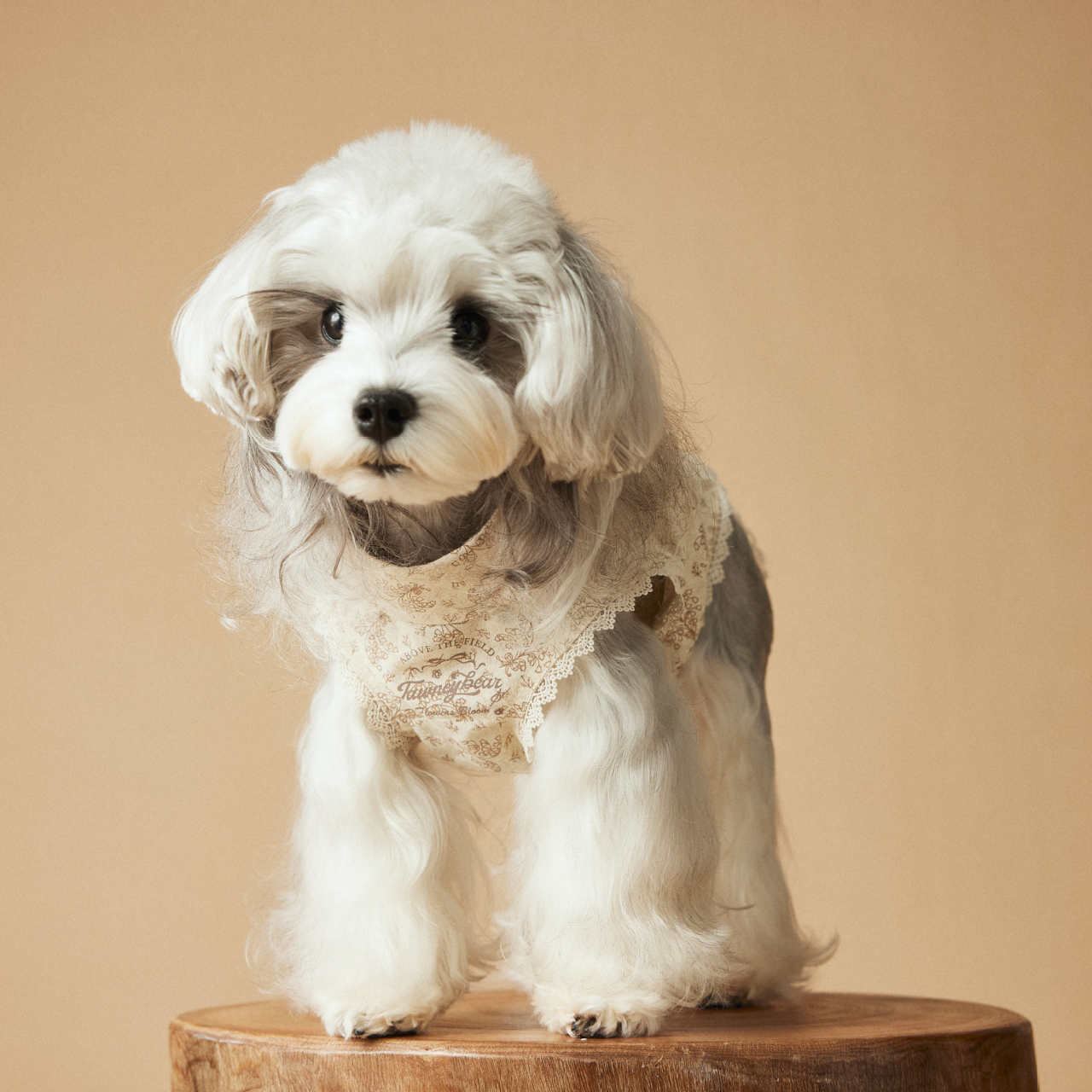 Spring/Summer Dog-print Sleeveless Dress