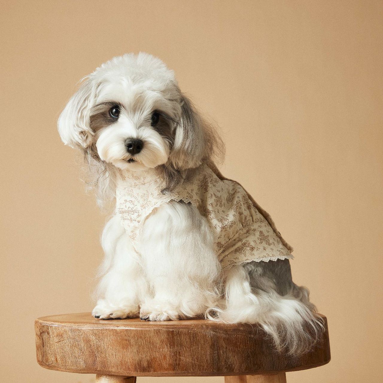 Spring/Summer Dog-print Sleeveless Dress