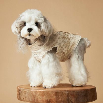 Spring/Summer Dog-print Sleeveless Dress