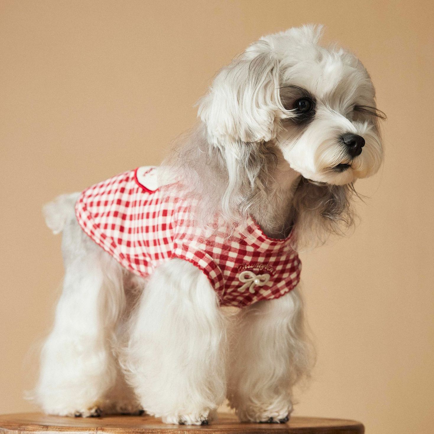 Popular dog sleeveless red plaid vest