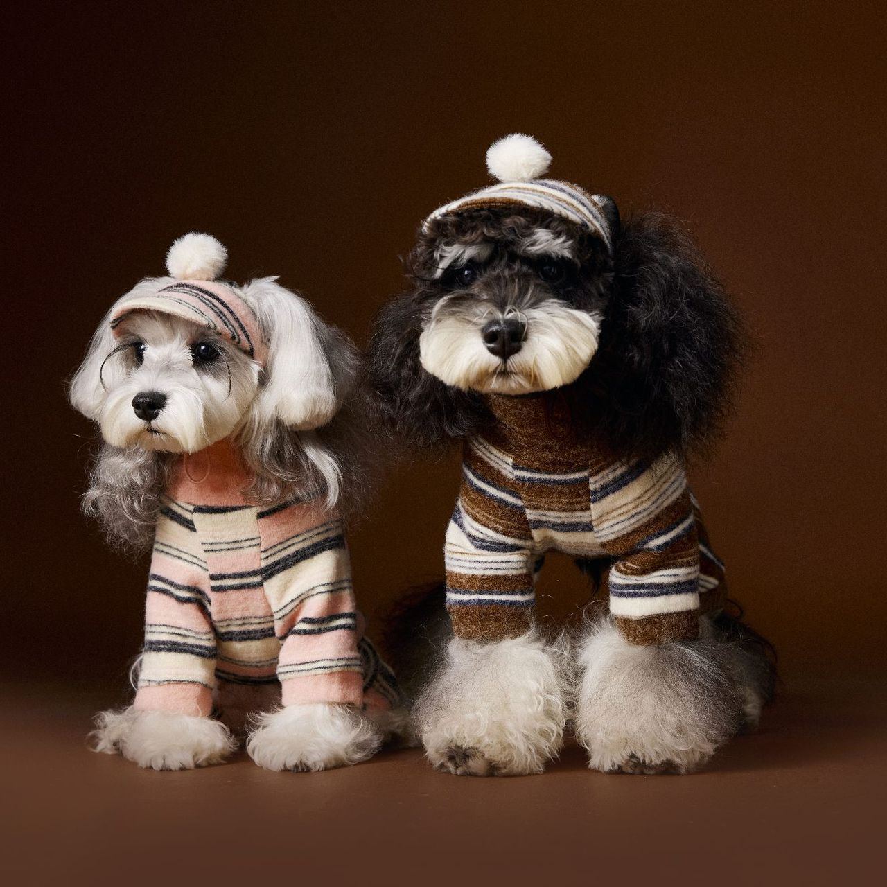 Striped base layer dog sweatshirt clothes