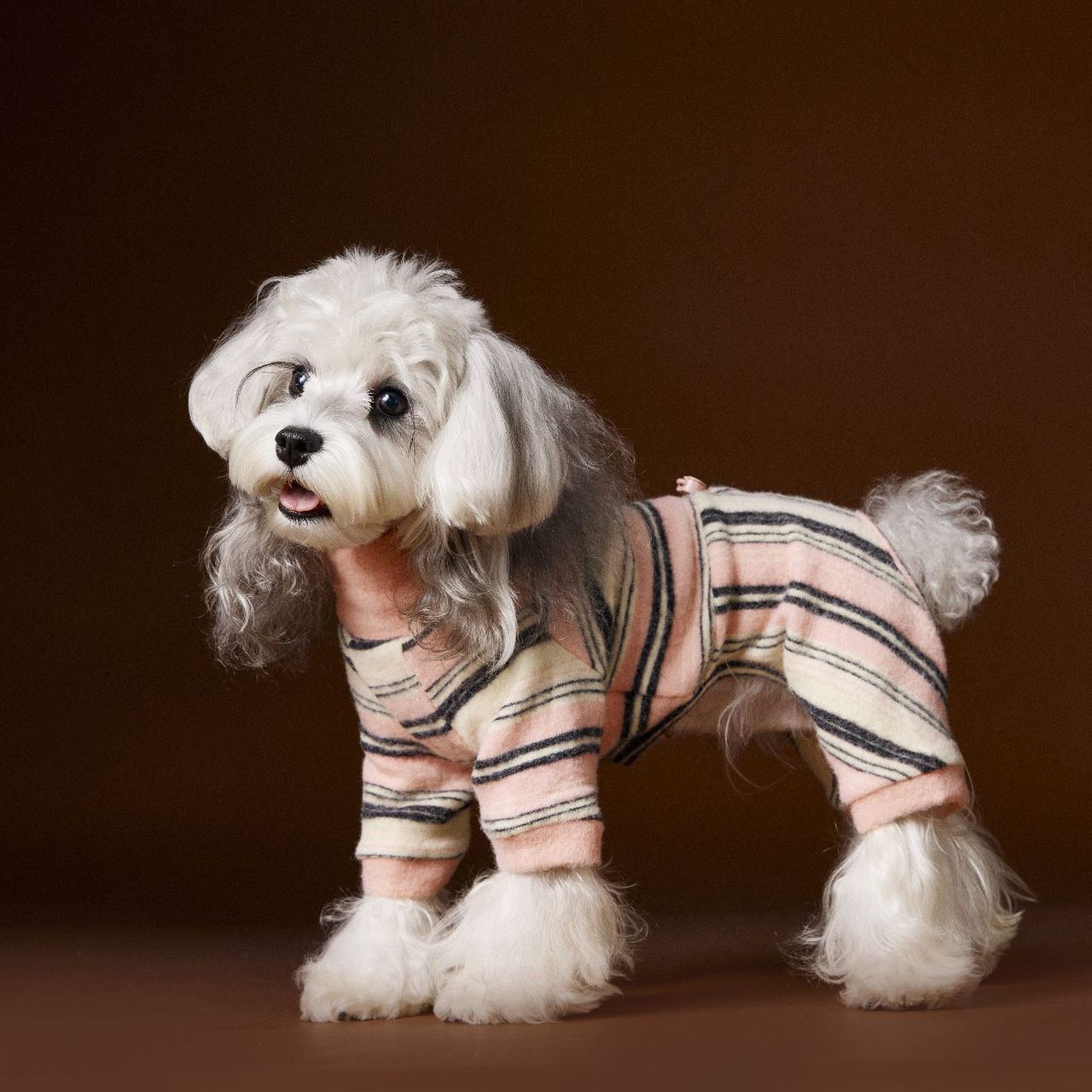 Striped base layer dog sweatshirt clothes