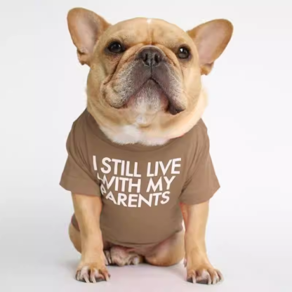 Foshion designer French Bulldog pet clothes and t-shirts
