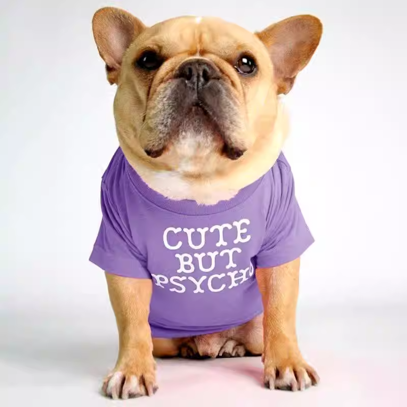 Foshion designer French Bulldog pet clothes and t-shirts