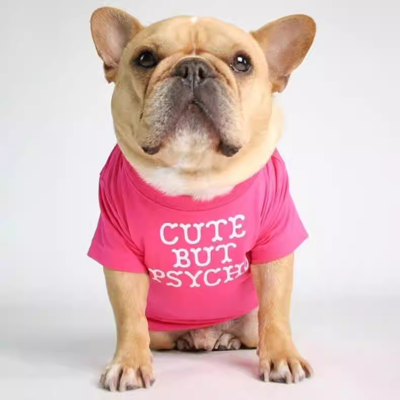 Foshion designer French Bulldog pet clothes and t-shirts