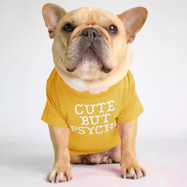 Foshion designer French Bulldog pet clothes and t-shirts