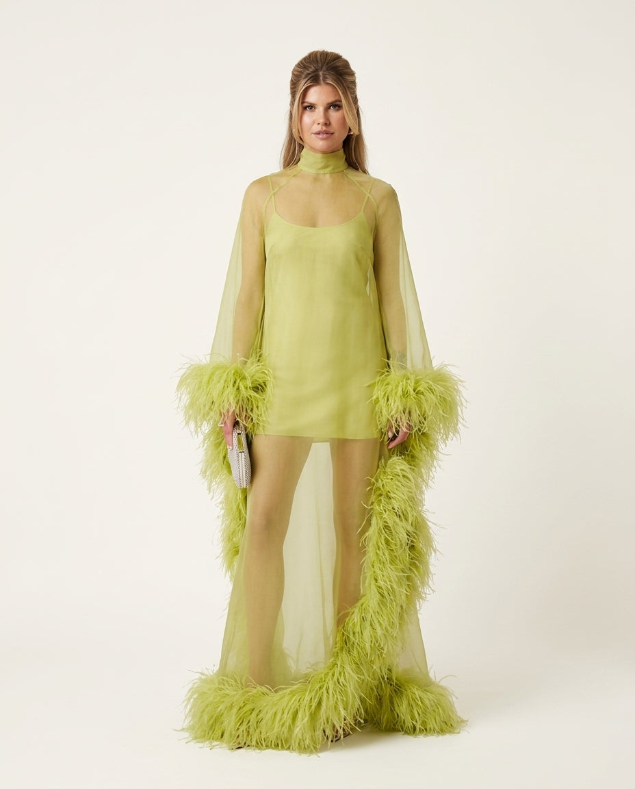 Lime Green Allure Evening Sheer Maxi Dress Lime Green Maxi Dress with Asymmetric silhouette and Textured texture, clean studio product view for Date Night, a gallery opening in Paris, Euro Chic Premium by -