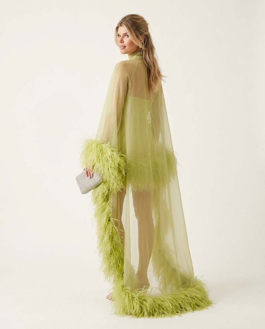 Lime Green Allure Evening Sheer Maxi Dress Lime Green Maxi Dress with Asymmetric silhouette and Textured texture, side or back garment view for Date Night, a gallery opening in Paris, Euro Chic Premium by -