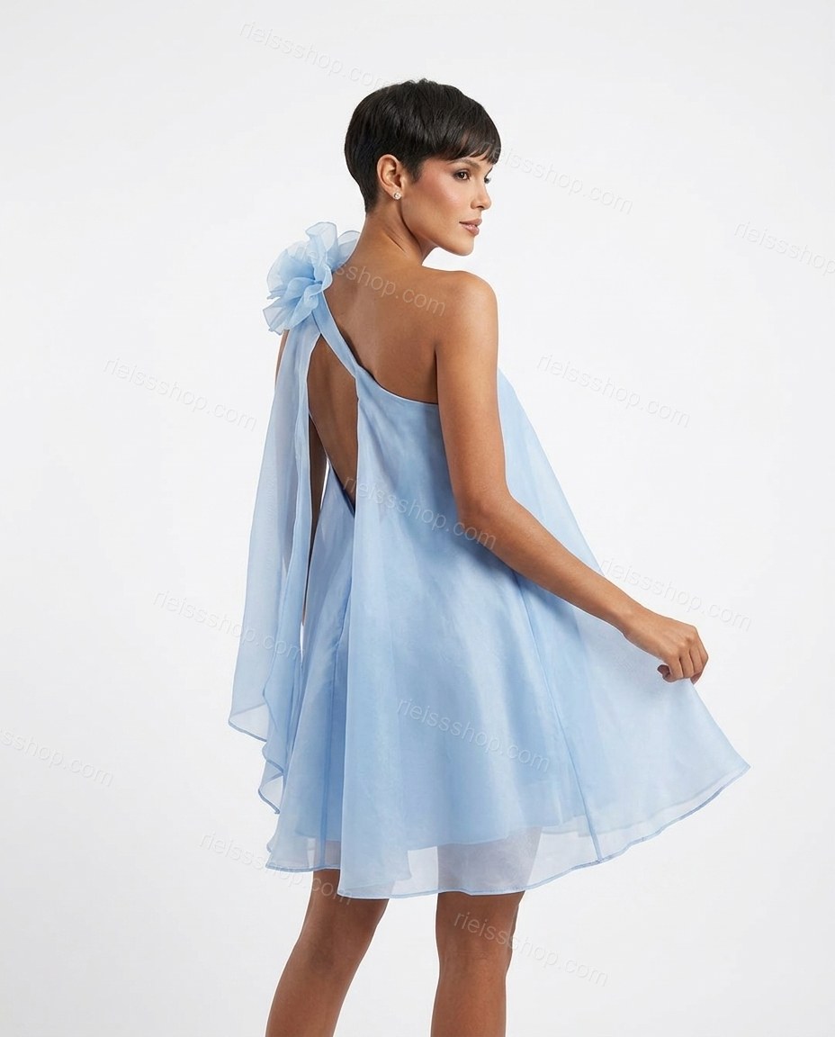 Light Blue Romantic Floral Embroidered Mini Dress by rieissshop