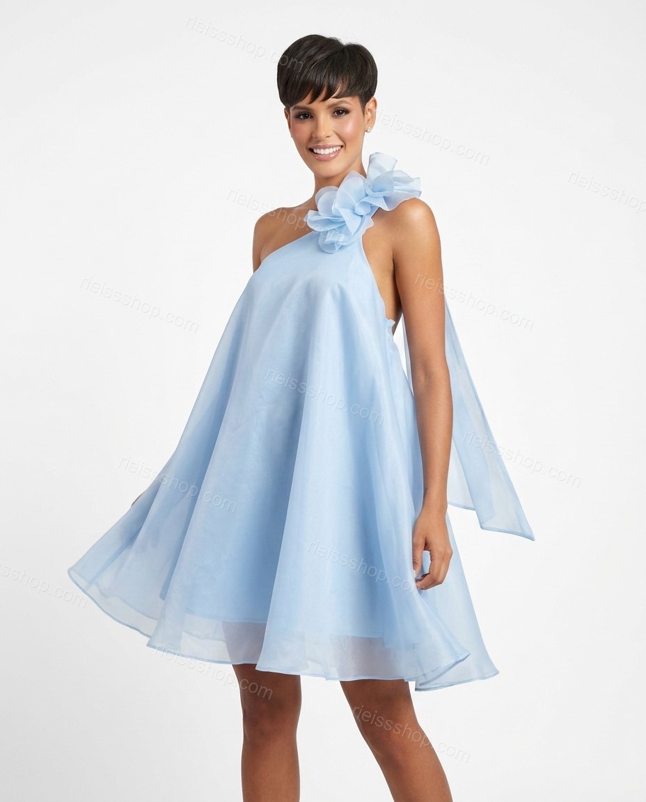 Light Blue Romantic Floral Embroidered Mini Dress by rieissshop