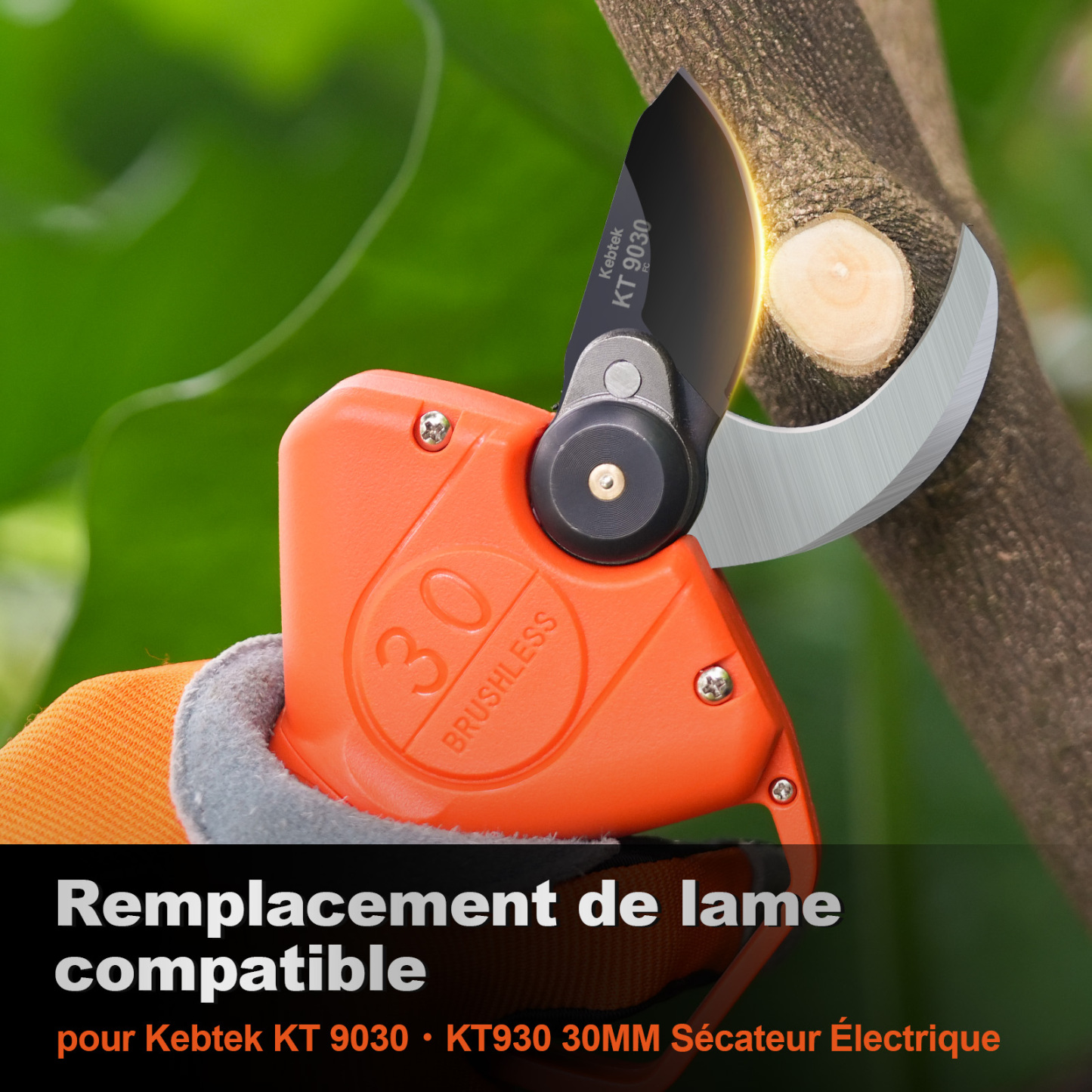 Lame pour Sécateur KT 9030