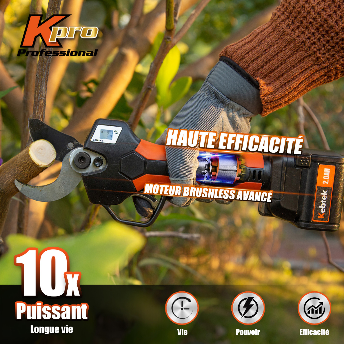 Kits de Sécateur sur Perche avec 2 Batteries de 2 Ah, KT940-SET